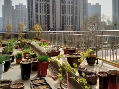 不銹鋼陽臺護(hù)欄