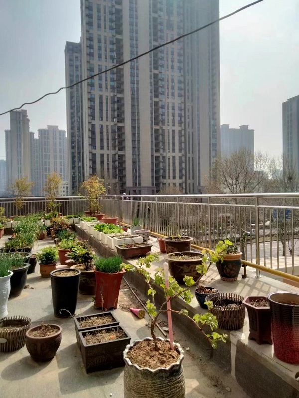 陽(yáng)臺(tái)不銹鋼護(hù)欄廠家怎么選？